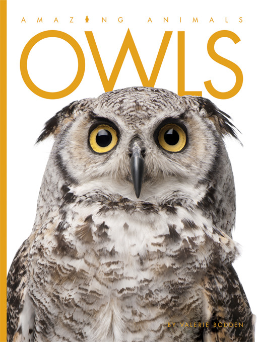 Title details for Owls by Valerie Bodden - Wait list